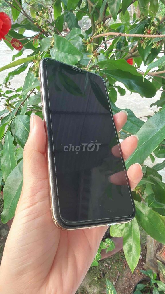 Apple iPhone XS Vàng Đã qua sử dụng. Mua bán Điện thoại tại Huyện Châu Thành A Hậu Giang được đăng bởi Yến lùn hình 1