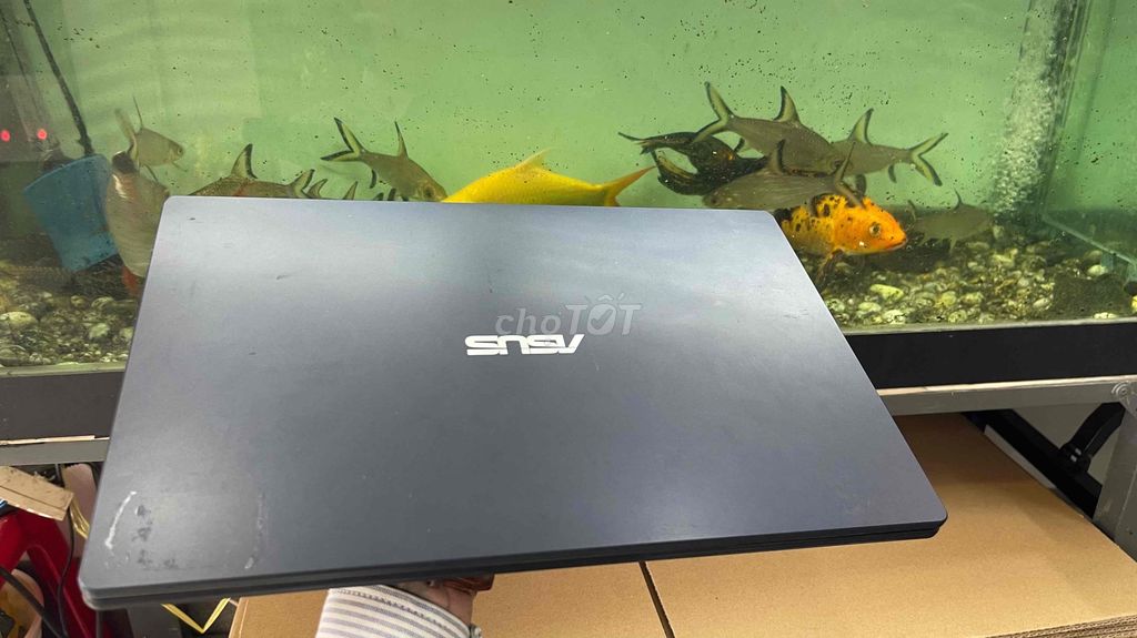 Asus Vivobook Celeron N500 4GB/64GB Like New. Mua bán Laptop tại Quận 12 Tp Hồ Chí Minh được đăng bởi Vinh Nguyễn  hình 1