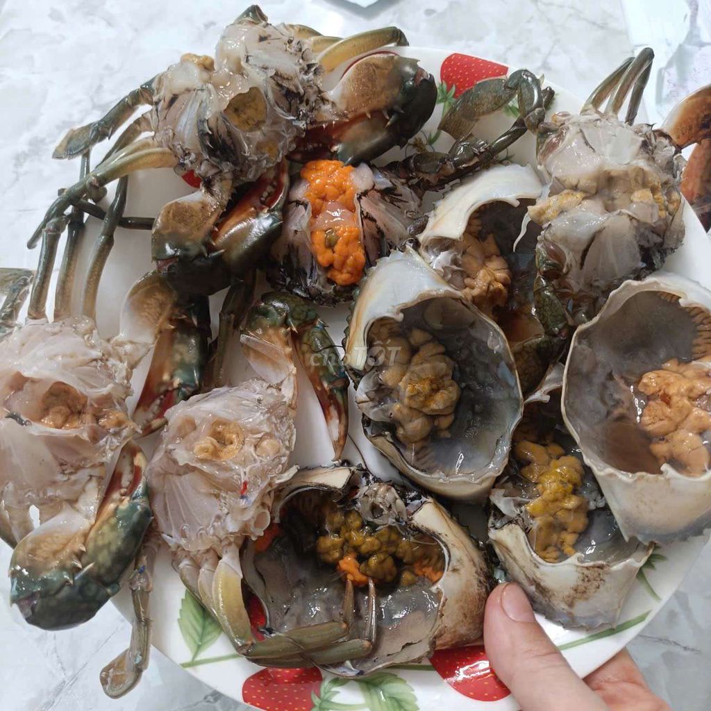 Cua biển Cà Mau 1kg 5 con. Mua bán Đồ ăn, thực phẩm và các loại khác tại Quận 7 Tp Hồ Chí Minh được đăng bởi Phượng hình 1