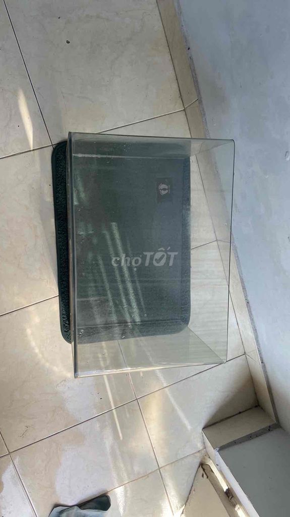 hồ cá bo góc