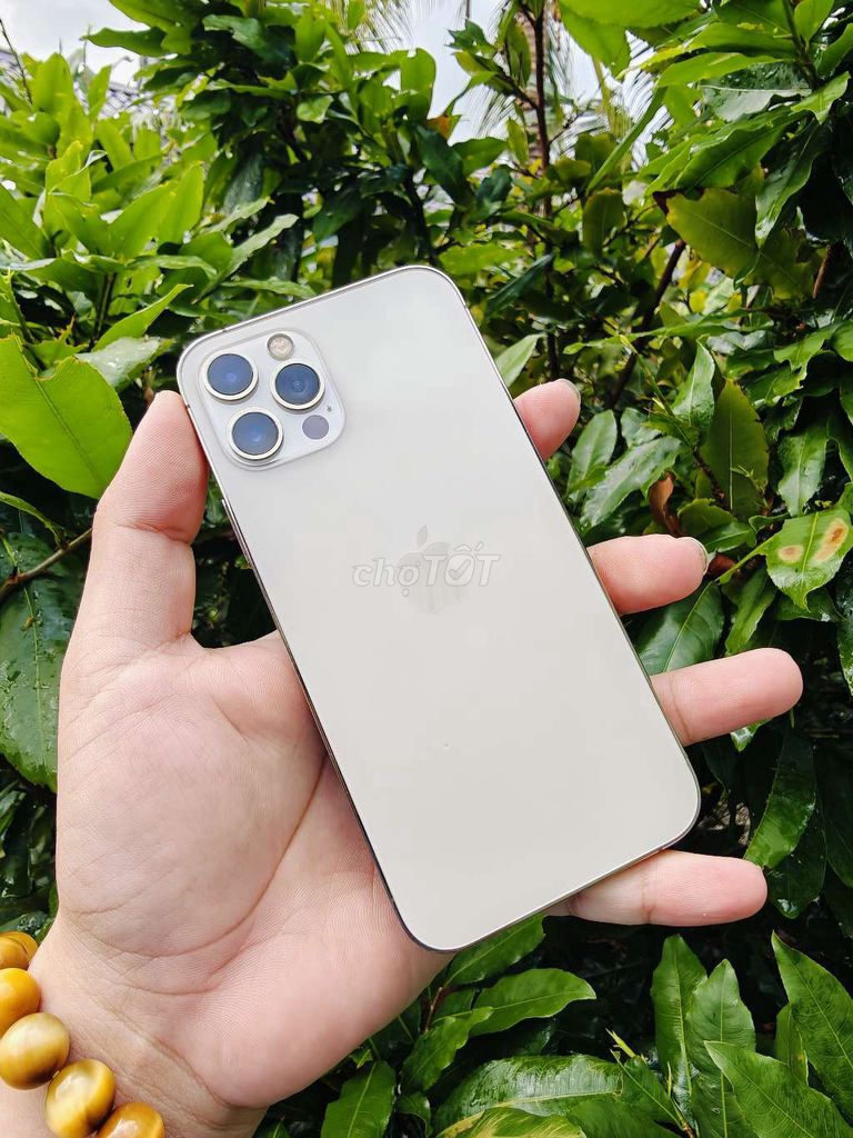 Apple iPhone 12 Pro 128GB Bạc Nguyên zin. Mua bán Điện thoại tại Huyện Châu Thành Sóc Trăng được đăng bởi Nhựt Trang hình 1