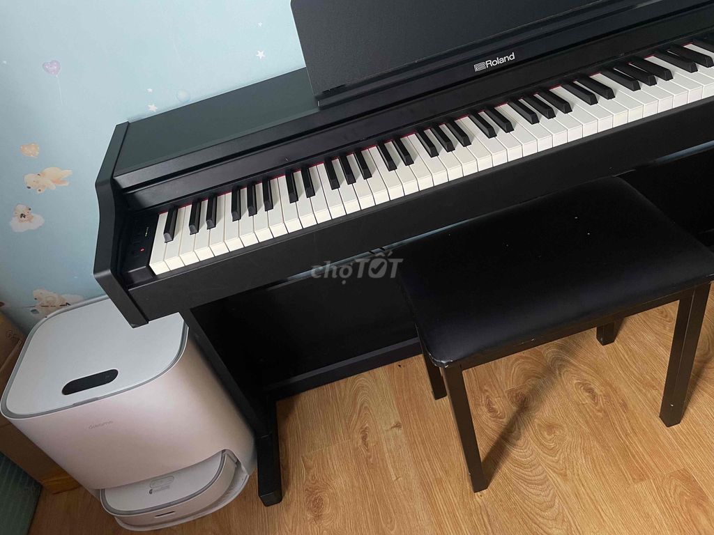 Piano Roland RP 102