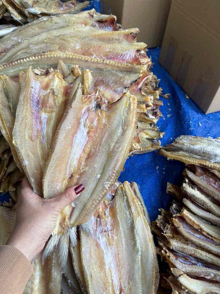 mua 1kg tặng 1kg , mua 2kg tặng 3kg