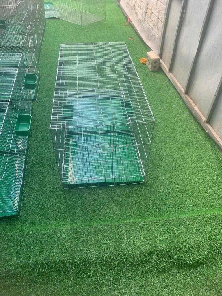 Lồng vận chuyển chó mèo Size M. Mua bán Phụ kiện, Thức ăn, Dịch vụ tại Thị xã Bến Cát Bình Dương được đăng bởi nguyễn  hình 1