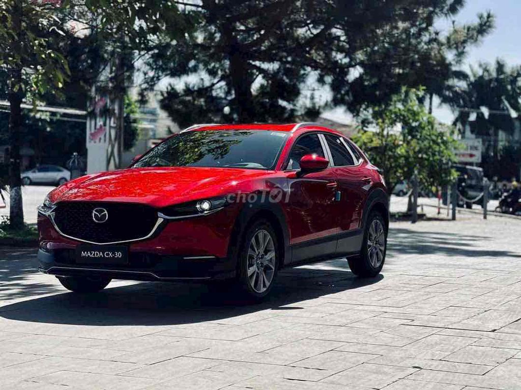 Ảnh số 5