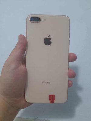 Iphone giá rẻ mới