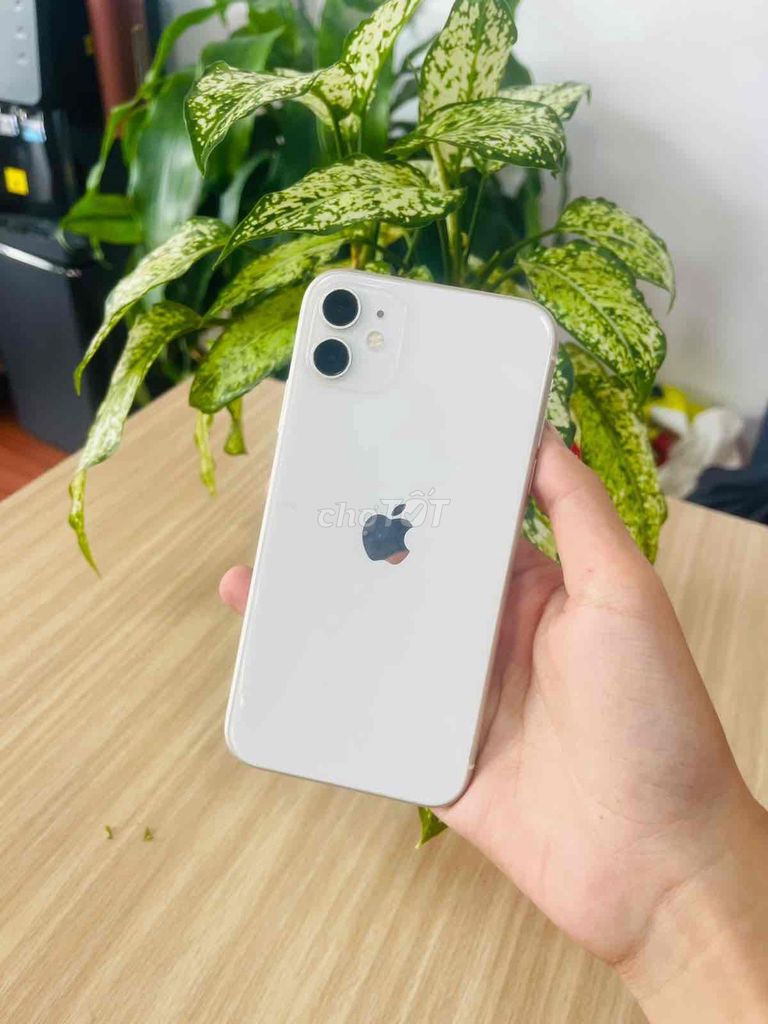 Apple iPhone 11 64GB Trắng 99% Quốc Tế. Mua bán Điện thoại tại Thành phố Biên Hòa Đồng Nai được đăng bởi Thang Tran hình 1