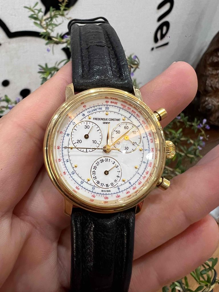 Đồng Hồ FC bọc vàng Chronograph