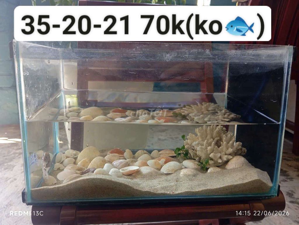 Hồ cá cảnh Kính 35x20x21 cm. Mua bán Thú cưng khác tại Quận Cẩm Lệ Đà Nẵng được đăng bởi kha Bùi hình 1
