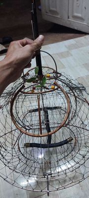 Lồng bẫy chim kim loại màu bạc. Mua bán Phụ kiện, Thức ăn, Dịch vụ tại Huyện Chơn Thành Bình Phước được đăng bởi Bé 