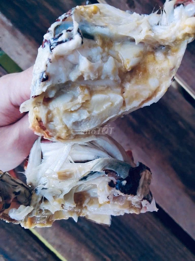 Cua Cà Mau. Mua bán Đồ ăn, thực phẩm và các loại khác tại Thành phố Thủ Dầu Một Bình Dương được đăng bởi Huỳnh Ngoan hình 3