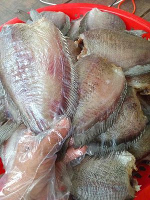 KHÔ SẶC BỔI LẠT. Mua bán Đồ ăn, thực phẩm và các loại khác tại Quận Ô Môn Cần Thơ được đăng bởi Ngoc Tinh