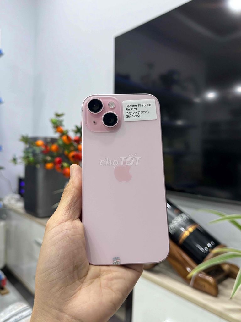 iPhone 15 Thường 256GB Hồng Quốc tế P87 Zin đẹp 99. Mua bán Điện thoại tại Huyện Hóc Môn Tp Hồ Chí Minh được đăng bởi Nguyễn Thu hình 1