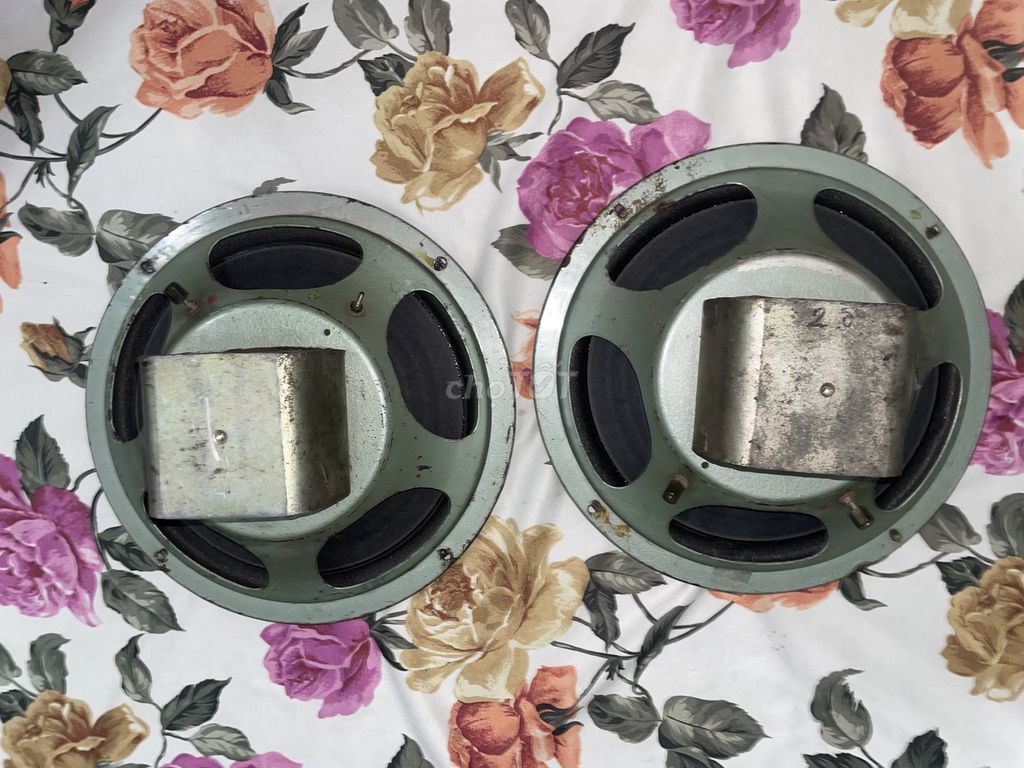 Loa ANICO Xanh rêu. Mua bán Tivi, Âm thanh tại Huyện Xuân Lộc Đồng Nai được đăng bởi phuong hình 1
