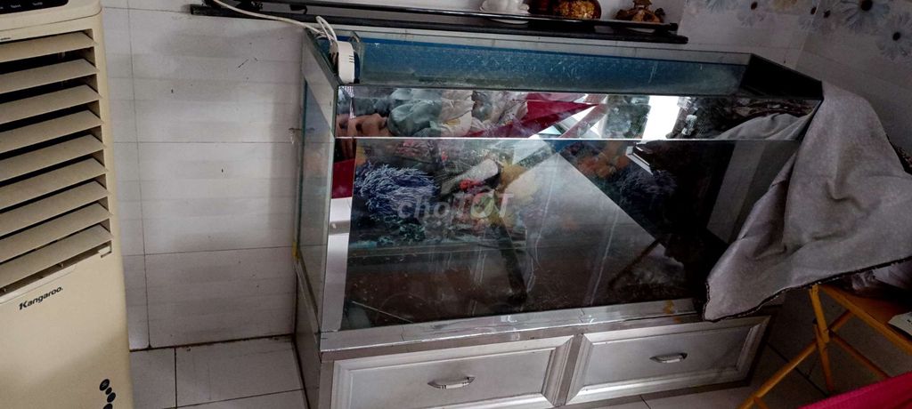 Bể cá cảnh Kính, Kim loại Bạc. Mua bán Phụ kiện, Thức ăn, Dịch vụ tại Thành phố Biên Hòa Đồng Nai được đăng bởi Phạm Thị Phương Thảo hình 1