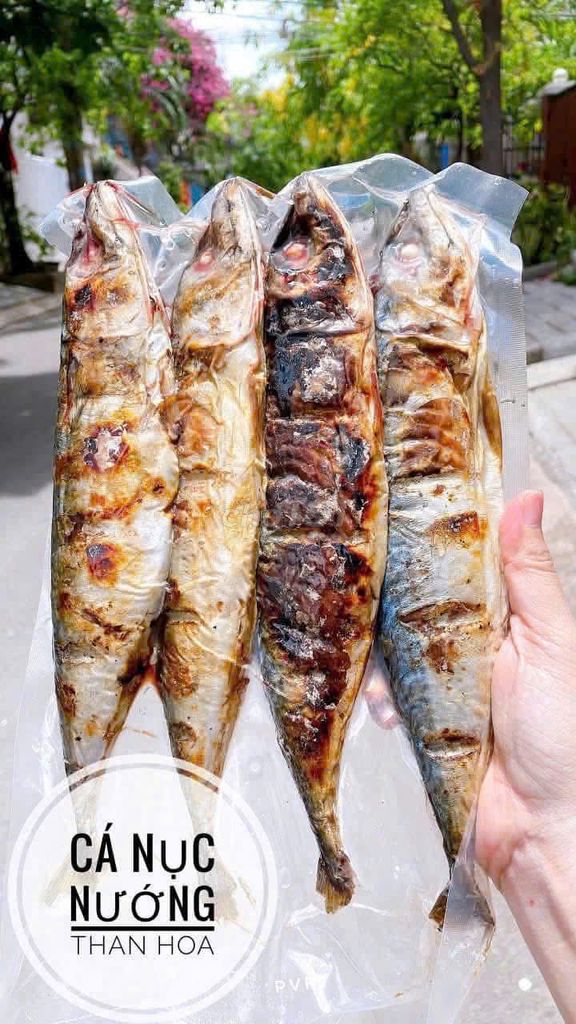 🐠🐠 CÁ NỤC NƯỚNG THAN HOA ngon nhức nhối 😆. Mua bán Đồ ăn, thực phẩm và các loại khác tại Quận 3 Tp Hồ Chí Minh được đăng bởi Thiên Phát hình 1