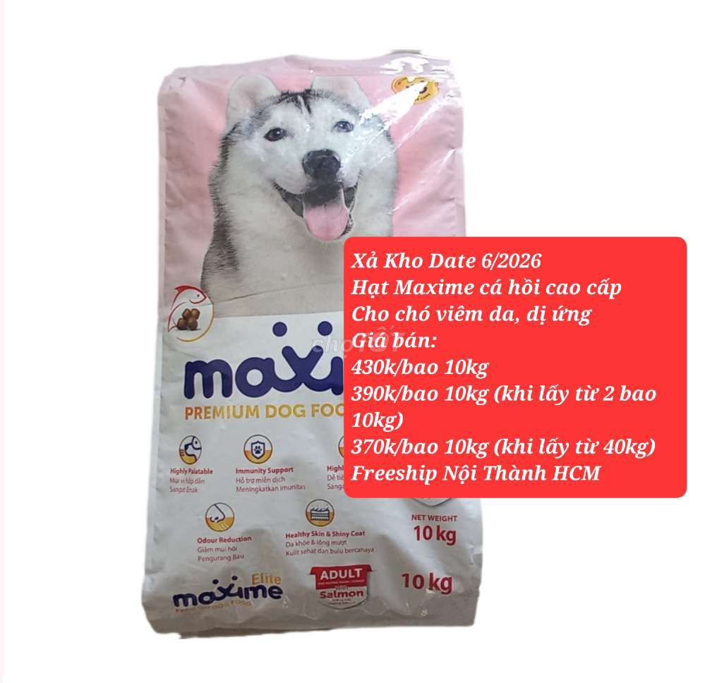 Freeship 430k/bao 10kg Hạt Cho Chó Maxime Elite. Mua bán Phụ kiện, Thức ăn, Dịch vụ tại Huyện Nhà Bè Tp Hồ Chí Minh được đăng bởi Hanh hình 1