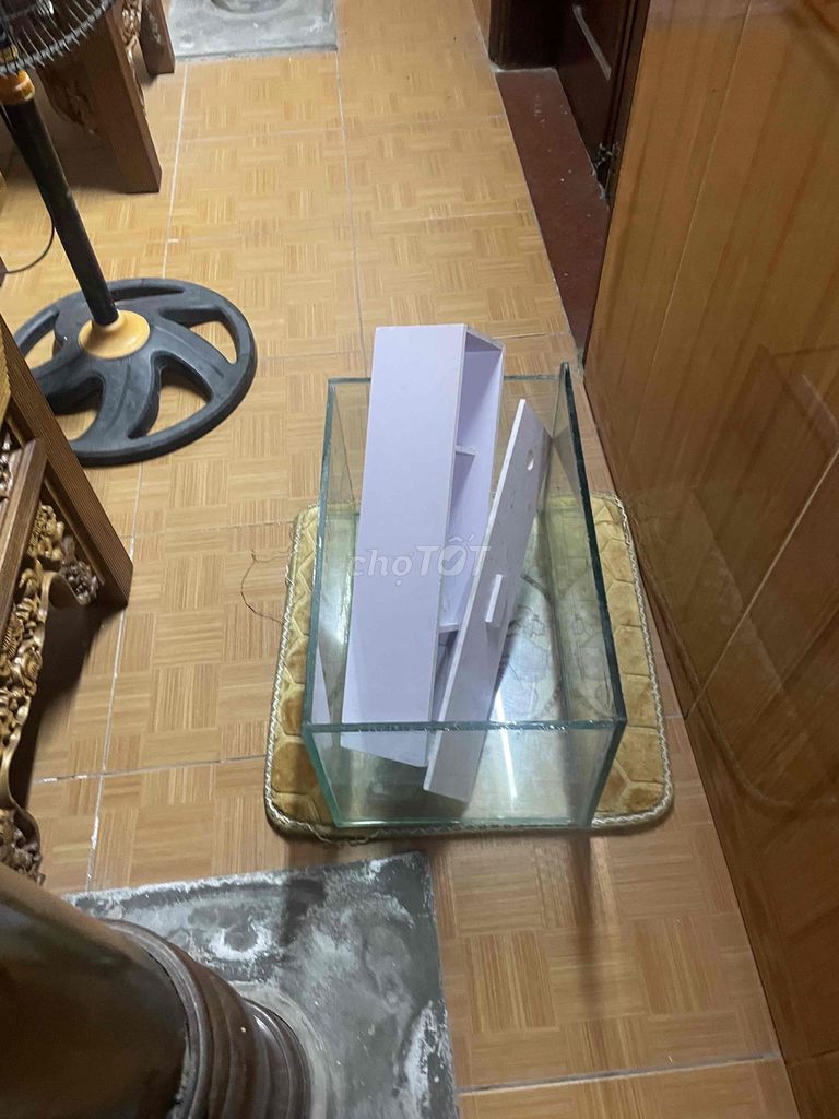 Bể cá 533 Kính. Mua bán Phụ kiện, Thức ăn, Dịch vụ tại Huyện Thuỷ Nguyên Hải Phòng được đăng bởi Cường Trần hình 1
