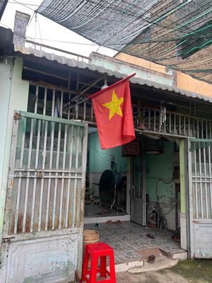 cho thuê nhà nguyên căn
