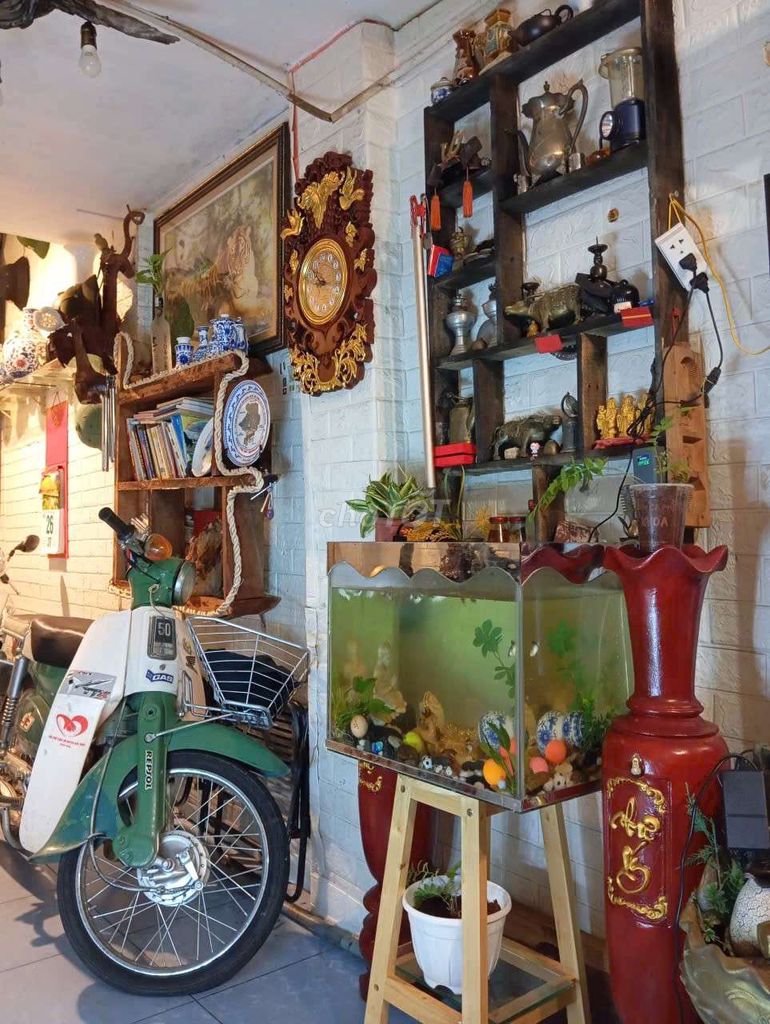 Honda Super Cub 1972 Xanh lá. Mua bán Xe máy tại Huyện Bắc Bình Bình Thuận được đăng bởi Hà Thị Xuân Uyên  hình 3