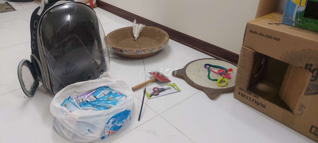 Combo phụ kiện mèo . Mua bán Phụ kiện, Thức ăn, Dịch vụ tại Huyện An Dương Hải Phòng được đăng bởi Nguyễn Trần Như Ngọc hình 1
