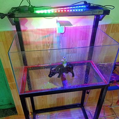 Combo hồ cá 60x30x30cm Kính, Kim loại. Mua bán Phụ kiện, Thức ăn, Dịch vụ tại Huyện Hòa Vang Đà Nẵng được đăng bởi kun
