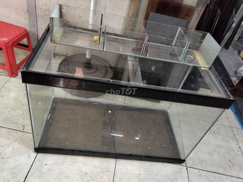 Hồ cá 80x40x50cm và lọc tràn. Mua bán Phụ kiện, Thức ăn, Dịch vụ tại Quận 8 Tp Hồ Chí Minh được đăng bởi Núi hình 1