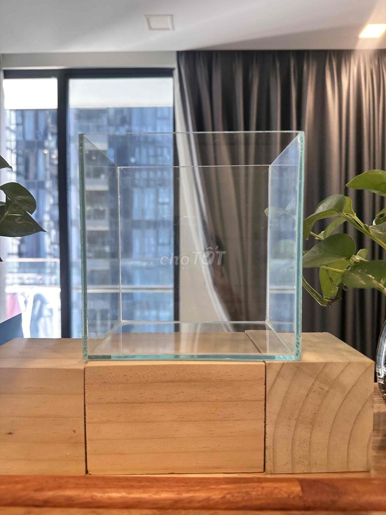 Bể cá betta Kính 15x11x11 trong suốt. Mua bán Thú cưng khác tại Quận 1 Tp Hồ Chí Minh được đăng bởi Minh Minh hình 1