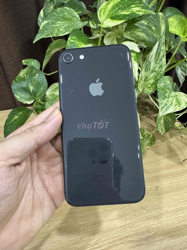 iPhone 8 256GB Quốc Tế zin áp HÀNG SƯU TẦM. Mua bán Điện thoại tại Quận Hoàng Mai Hà Nội được đăng bởi Gia Vinh hình 1