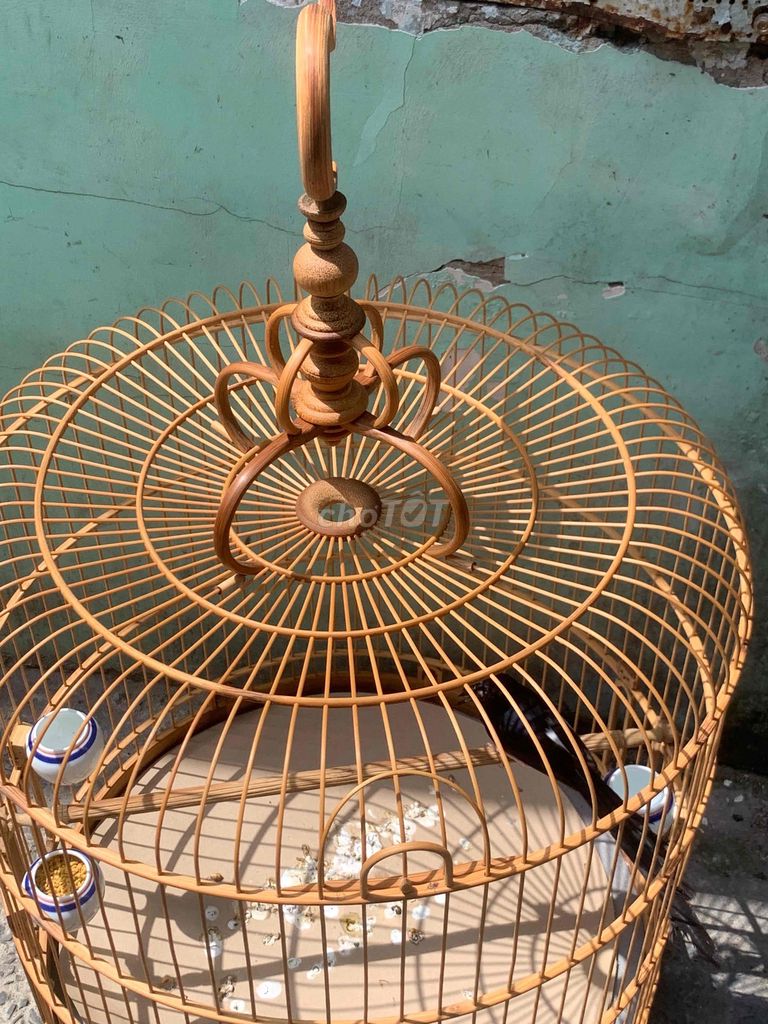 Lồng chim tre Nâu đã sử dụng. Mua bán Phụ kiện, Thức ăn, Dịch vụ tại Quận 8 Tp Hồ Chí Minh được đăng bởi Thế Anh hình 1