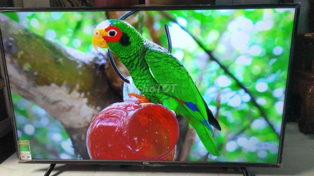 smart TV TCL43N 4K Giọng nói wifi YouTube nhanh . Mua bán Tivi, Âm thanh tại Huyện Bình Chánh Tp Hồ Chí Minh được đăng bởi pham quang vinh hình 1