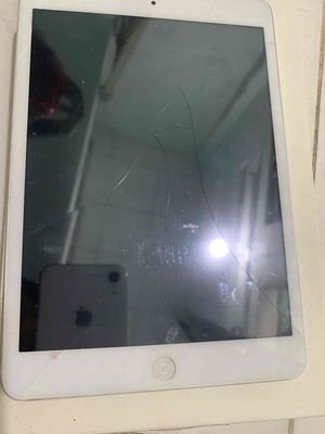 xác iPad mini 2