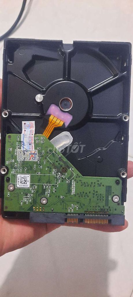 Ổ cứng HDD WD WD5000AAKX 500GB 3.5 inch Đã sử dụng. Mua bán Linh kiện (RAM, Card...) tại Quận 12 Tp Hồ Chí Minh được đăng bởi Nội Thất Ngôi Nhà Xanh  hình 1