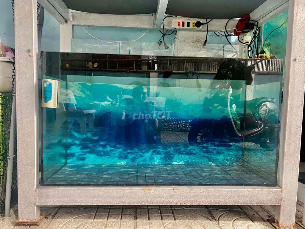 Hồ cá cảnh Kính 1m1 x 50cm x 60cm. Mua bán Phụ kiện, Thức ăn, Dịch vụ tại Thành phố Rạch Giá Kiên Giang được đăng bởi TRAN TUAN NAM hình 1