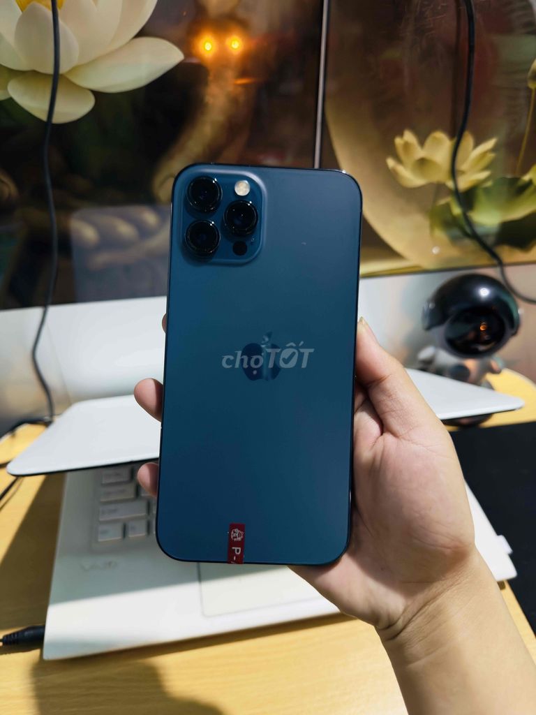 Apple iPhone 12 Pro Max 256GB Xanh. Mua bán Điện thoại tại Thị xã Phú Mỹ Bà Rịa - Vũng Tàu được đăng bởi Bi Táo hình 1