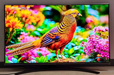 Tivi wifi 4k LG NanoCell 50 inch 2023 có giọng nói. Mua bán Tivi, Âm thanh tại Quận Ninh Kiều Cần Thơ được đăng bởi Luật Nguyễn