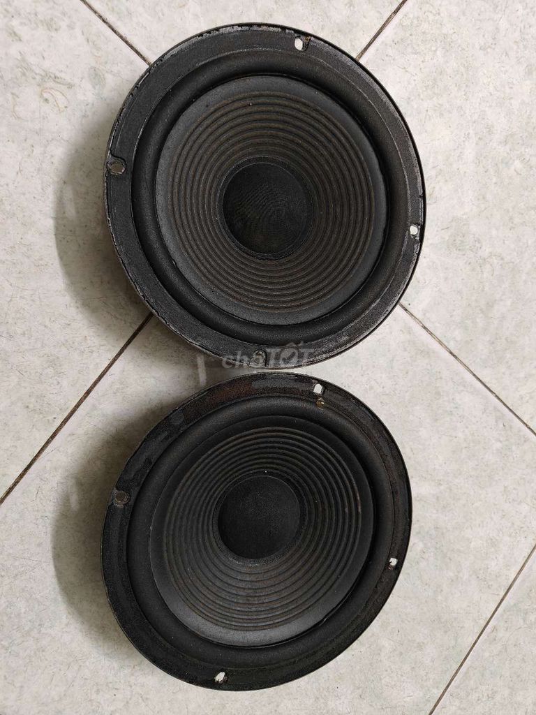 Bass cộng hưởng Sony 20cm. Mua bán Tivi, Âm thanh tại Quận Tân Phú Tp Hồ Chí Minh được đăng bởi Tài hình 1