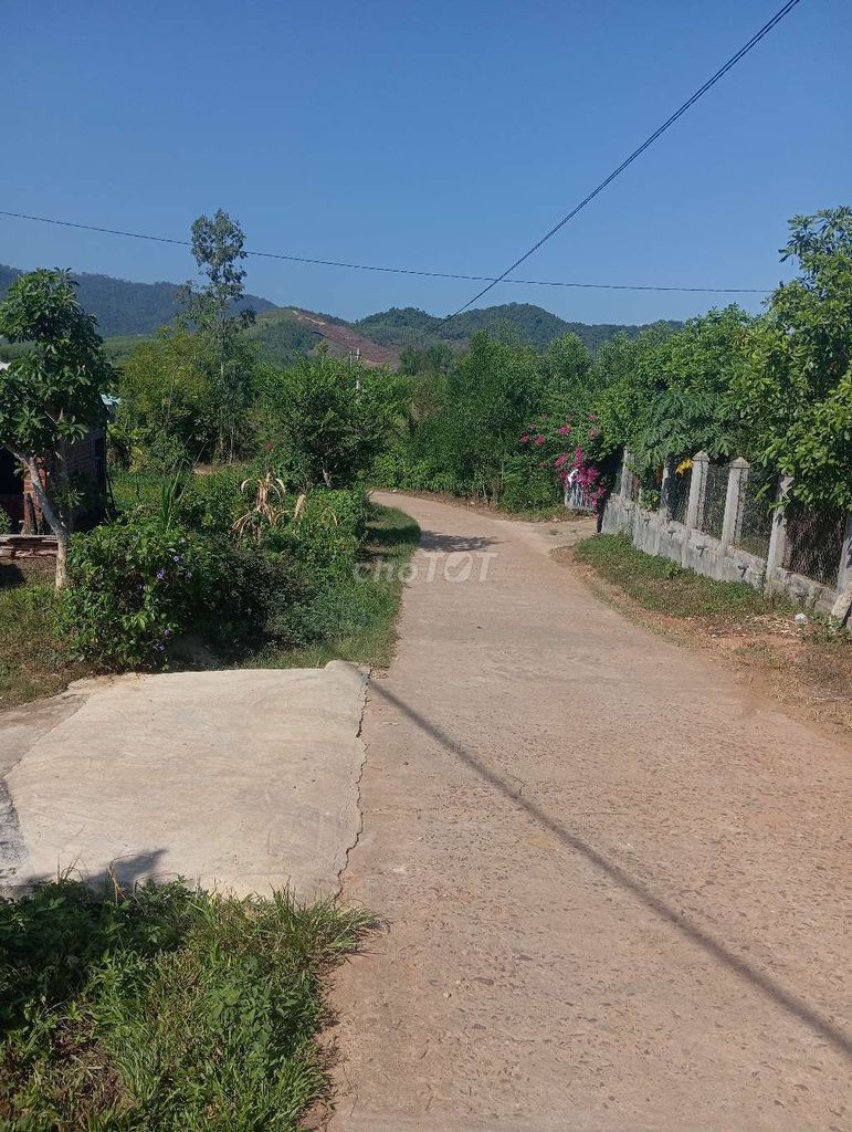 Bán đất mặt tiền xóm đá ong Bán đất mặt tiền xóm đá ong