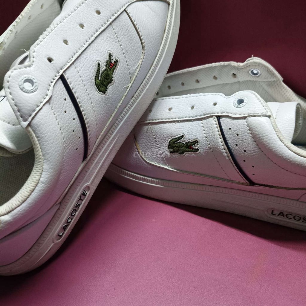 Giày thể thao Lacoste Trắng Da Size 44. Mua bán Giày dép tại Quận Tân Phú Tp Hồ Chí Minh được đăng bởi HUYNH THANH NHANH hình 1
