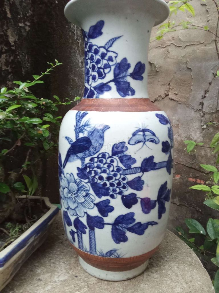Bình hoa Gốm sứ Trắng, xanh dương. Mua bán Cây cảnh, đồ trang trí tại Huyện Gò Công Tây Tiền Giang được đăng bởi Ngọc Hảo hình 1