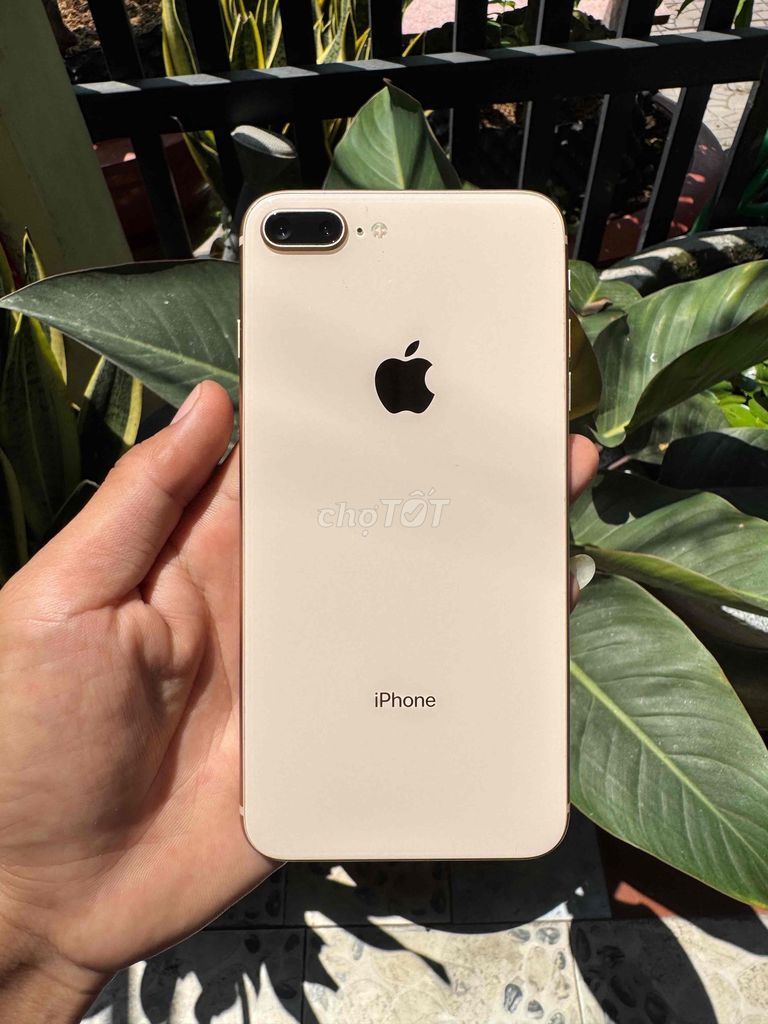 Apple iPhone 8 Plus Vàng 99%. Mua bán Điện thoại tại Huyện Vĩnh Thạnh Cần Thơ được đăng bởi Nguyen Loi hình 1