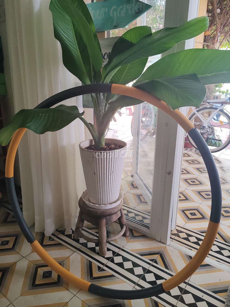 Vòng lắc eo Eono 98cm. Mua bán Đồ thể thao, Dã ngoại tại Quận 7 Tp Hồ Chí Minh được đăng bởi Vy Vy hình 1