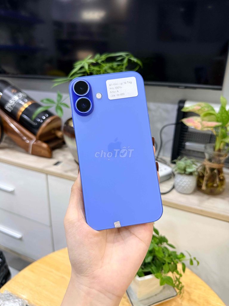 iPhone XR 64GB độ vỏ iPhone 16 Blue Đẹp như new. Mua bán Điện thoại tại Huyện Hóc Môn Tp Hồ Chí Minh được đăng bởi Luân Hoài hình 1