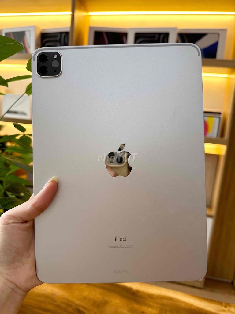 iPad Pro M1 11” 256GB LL Wifi Silver