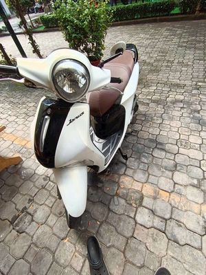 Janus 2019 keng máy bao êm. Mua bán Xe máy tại Huyện Chợ Lách Bến Tre được đăng bởi le văn dũng 