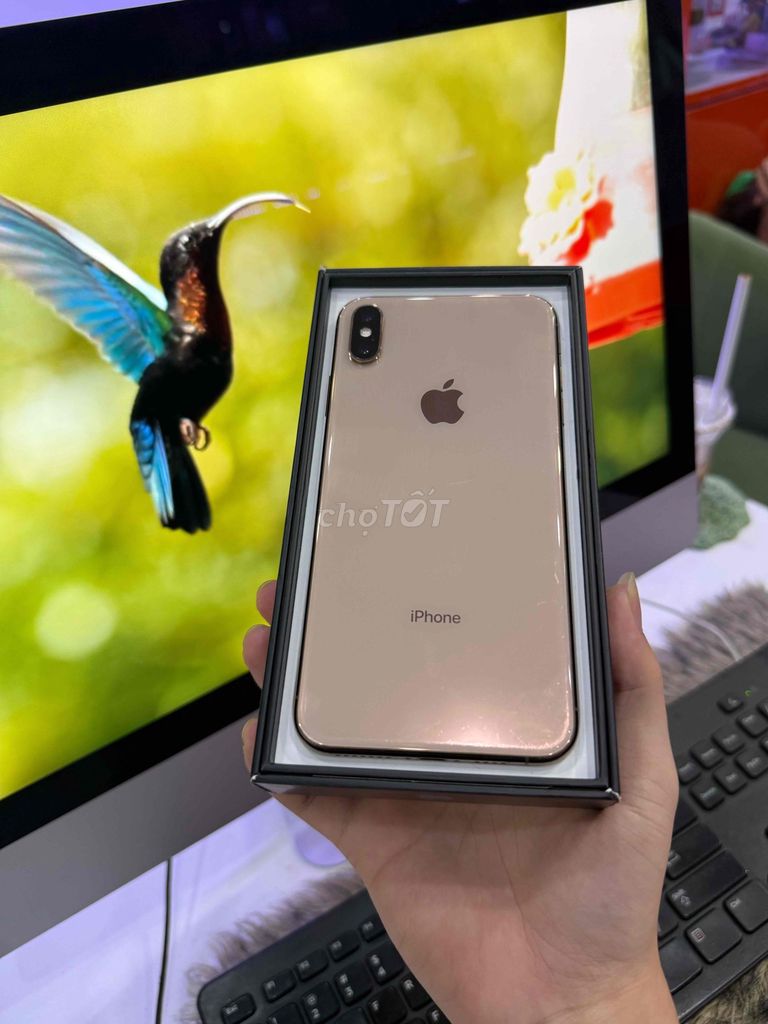iPhone Xs Max 64GB Vàng quốc tế Mỹ pin 95%. Mua bán Điện thoại tại Quận 3 Tp Hồ Chí Minh được đăng bởi Nam Á Mobile hình 1