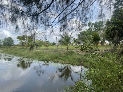 Bán hơn 1,4 héc đất ven biển Hồ Tràm , Phước Thuận, Bà Rịa Vũng Tàu