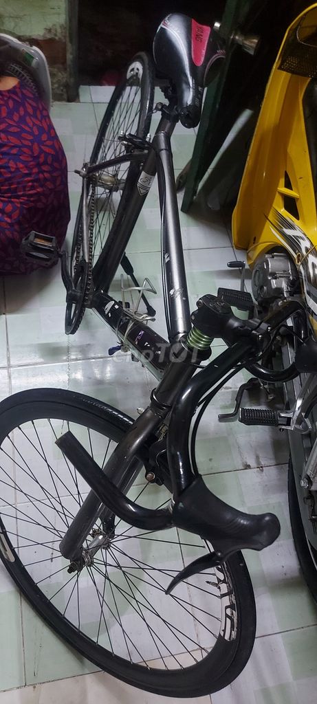 Cần bán xe đao singo
