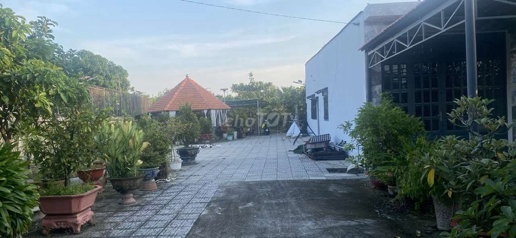 chính chủ cẩn bán đất Củ Chi