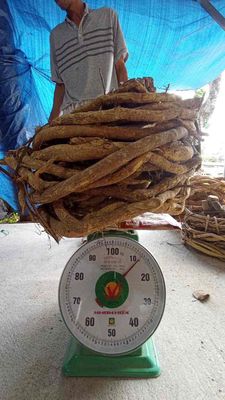 xáo tam phân tươi. Mua bán Đồ ăn, thực phẩm và các loại khác tại Quận Hoàng Mai Hà Nội được đăng bởi Sen Vàng